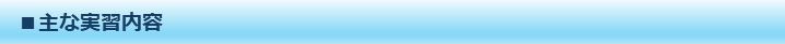 主な実習内容
